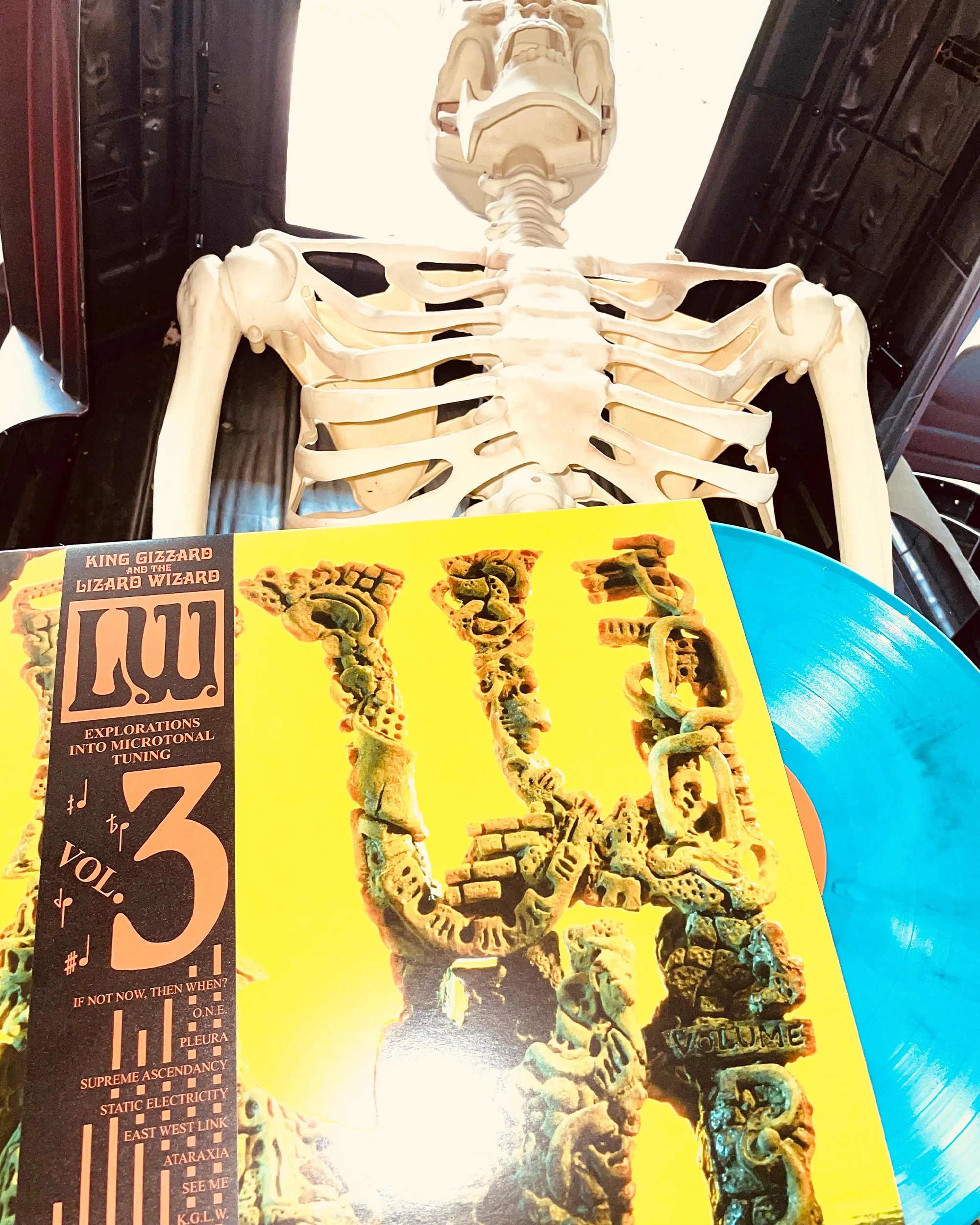 Thumbnail 12